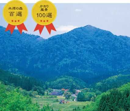田浪キャンプ場 photo 3