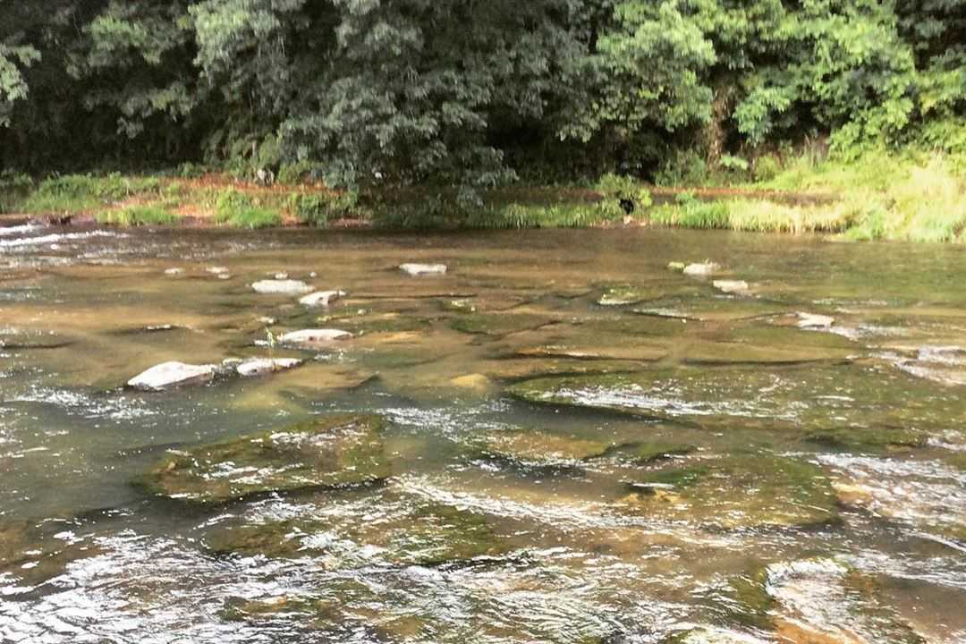 関之尾 緑の村
