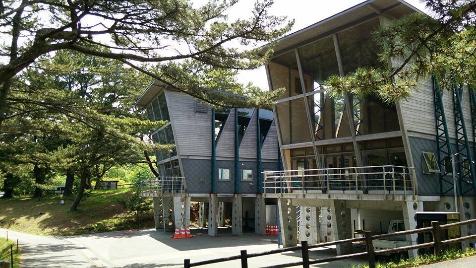 神割崎キャンプ場