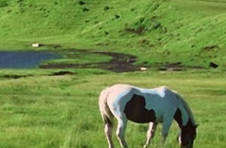 ビラ・マイルドキャンプ場