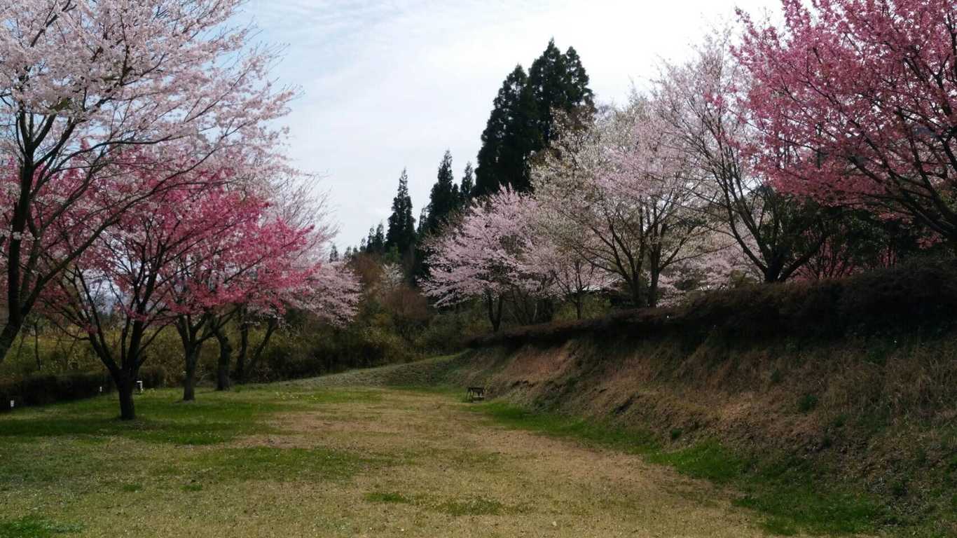 ビラ・マイルドキャンプ場 photo 3