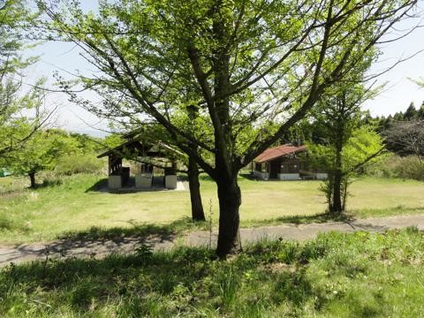阿蘇くじゅう国立公園阿蘇山三合目坊中野営場(坊中キャンプ場) photo 5
