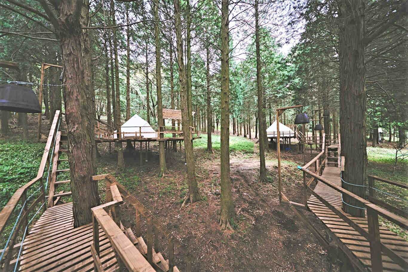 camping WOOD & WOOD BURN photo 5