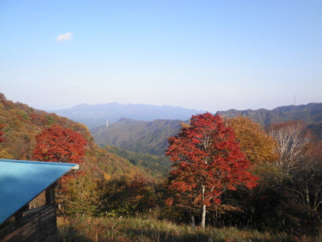 わらび平森林公園キャンプ場 photo 5