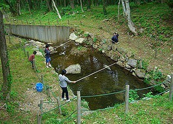 恐羅漢エコロジーキャンプ場 photo 4