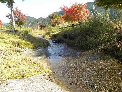 魚梁瀬森林公園オートキャンプ場 photo 4