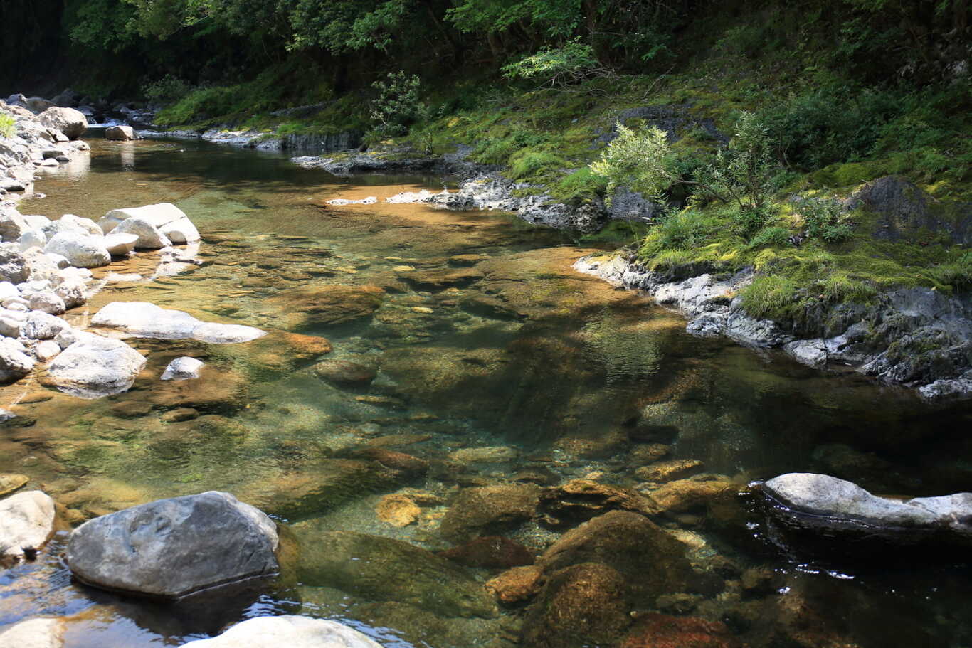 日ノ御子河川公園キャンプ場