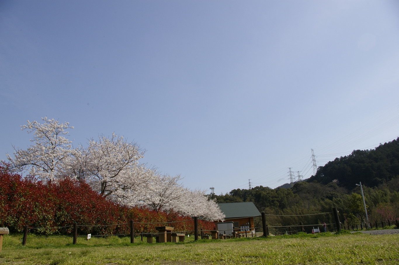 「道の駅」大和オートキャンプ場 photo 4