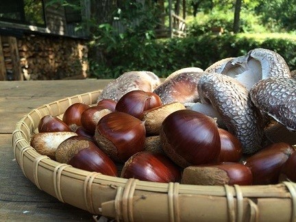 語らいの里噺野 photo 5