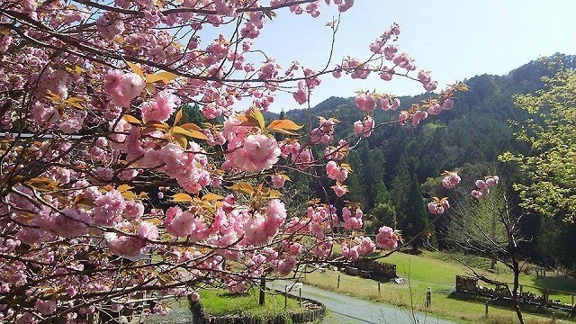 語らいの里噺野 photo 3