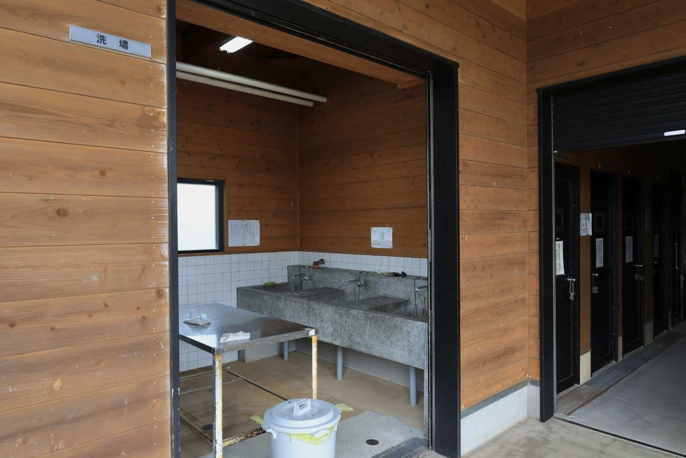 伊上海浜公園オートキャンプ場 photo 3