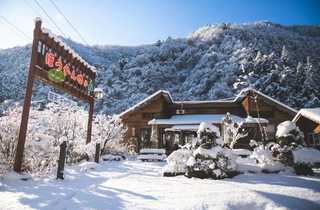 ほうれん坊の森キャンプ場