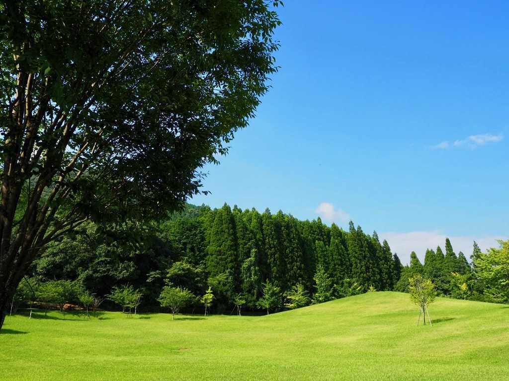 十曽青少年旅行村 photo 4