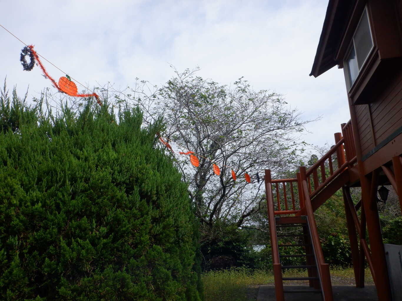 下小原池公園ログハウス photo 5