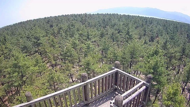 くにの松原キャンプ場
