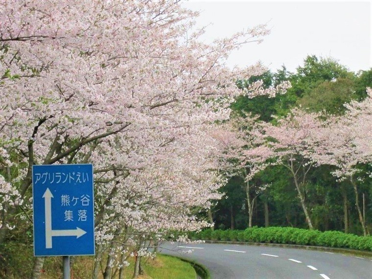 夢・風の里アグリランドえい photo 4