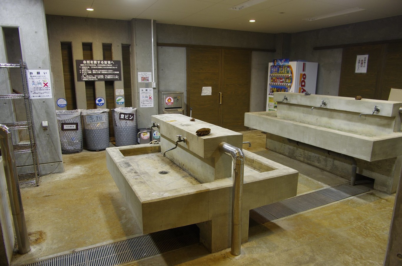 後生掛(大沼)キャンプ場 photo 4