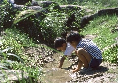 五十沢キャンプ場