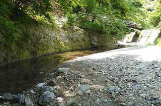 桐花園キャンプ場