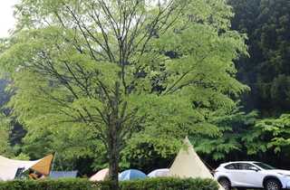 三ツ星オートキャンプ場