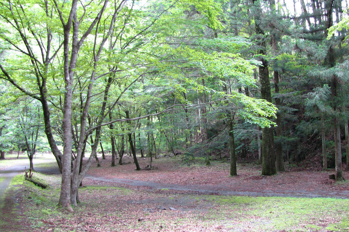 池の谷ファミリーキャンプ場 photo 4