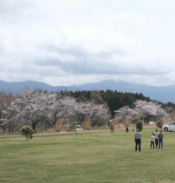 大野路ファミリーキャンプ場 photo 3