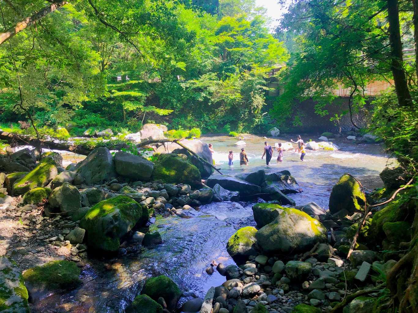 FUJIYAMA泉の森CAMPING FIELD