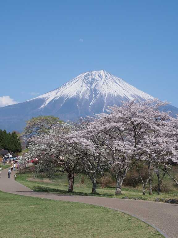 田貫湖キャンプ場 photo 4