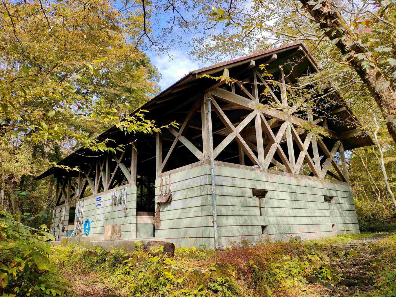丸火自然公園グリーンキャンプ場 photo 4