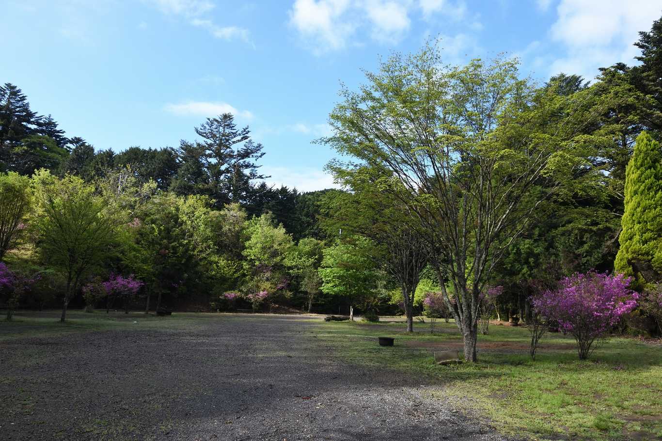 千石台オートキャンプ場 photo 4