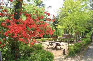 千葉県立 清和県民の森