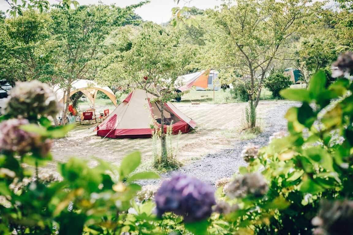 RECAMP 勝浦