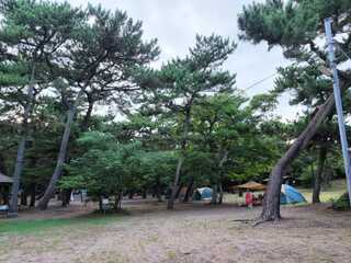 富津公園キャンプ場