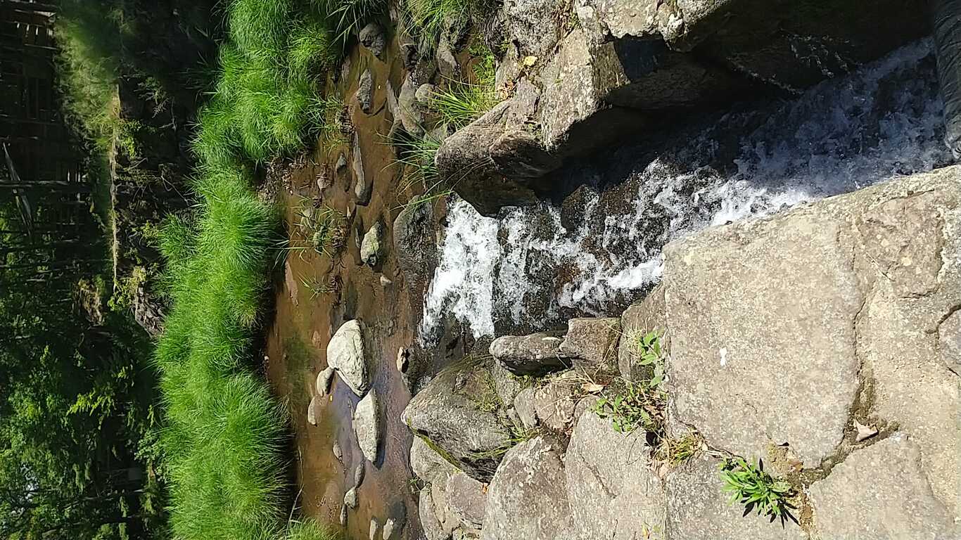 よかろうパークキャンプ場 photo 5