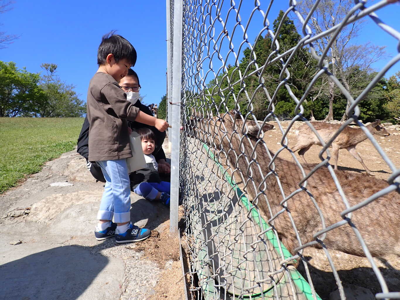 横岳自然公園