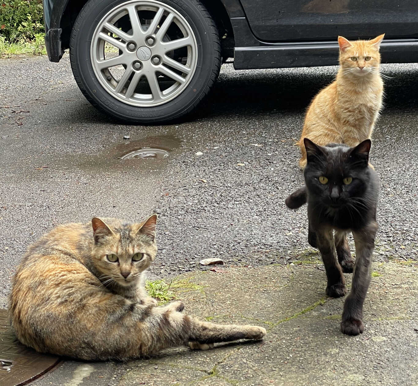 陽目の里キャンピングパーク