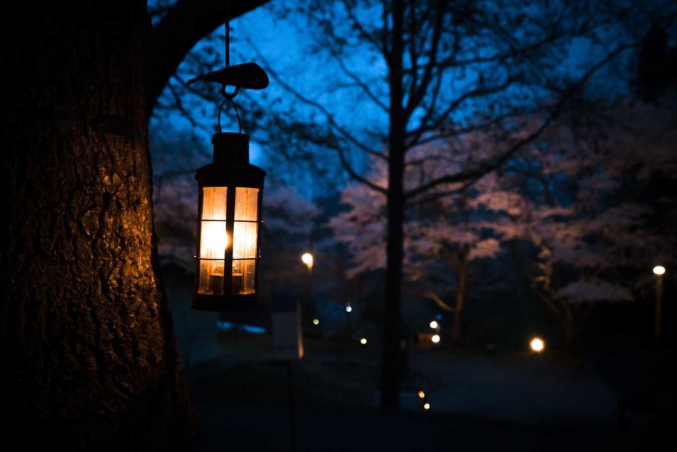 バルンバルンの森(洞門キャンプ場) photo 4
