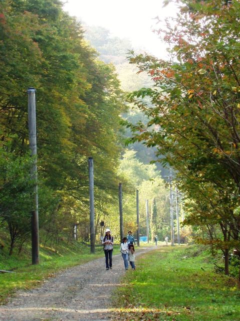 天平の森オートキャンプ場 photo 3