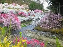 四徳温泉キャンプ場 photo 3