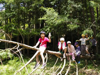ACN信州伊那谷キャンパーズヴィレッジ photo 4
