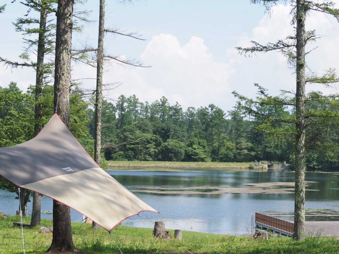 nagano forest village photo 4