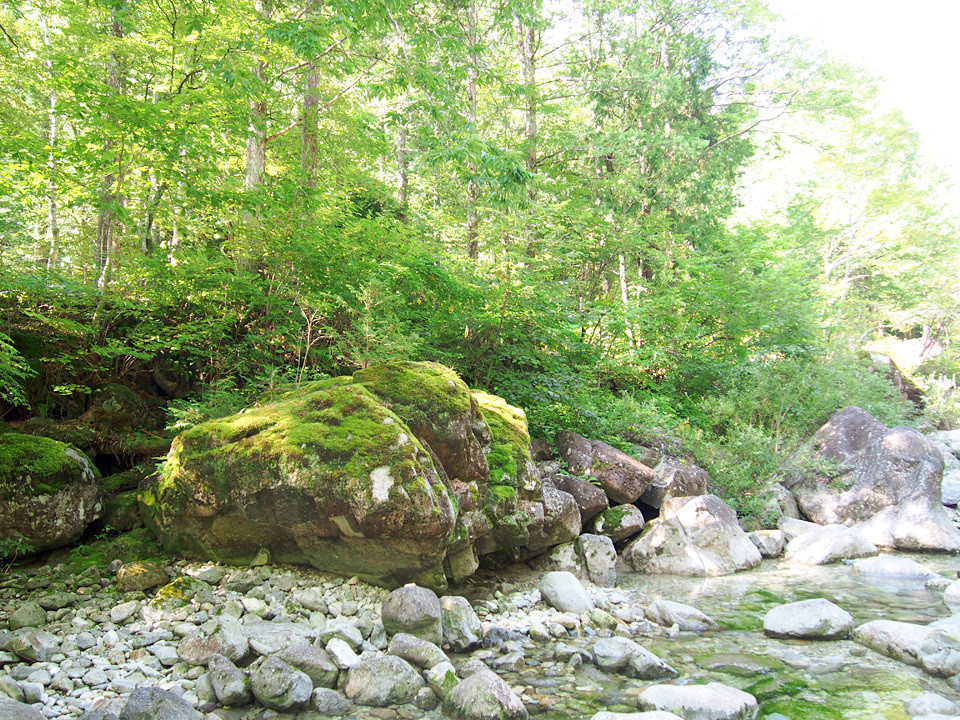 阿寺渓谷キャンプ場 photo 3