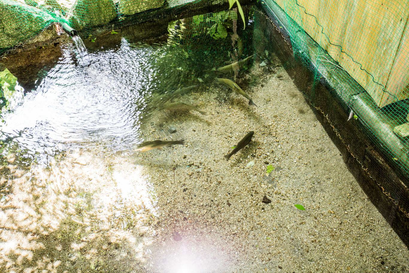 田立の滝オートキャンプ場 photo 3