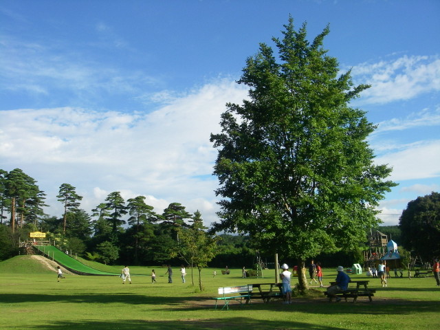森の国 photo 2
