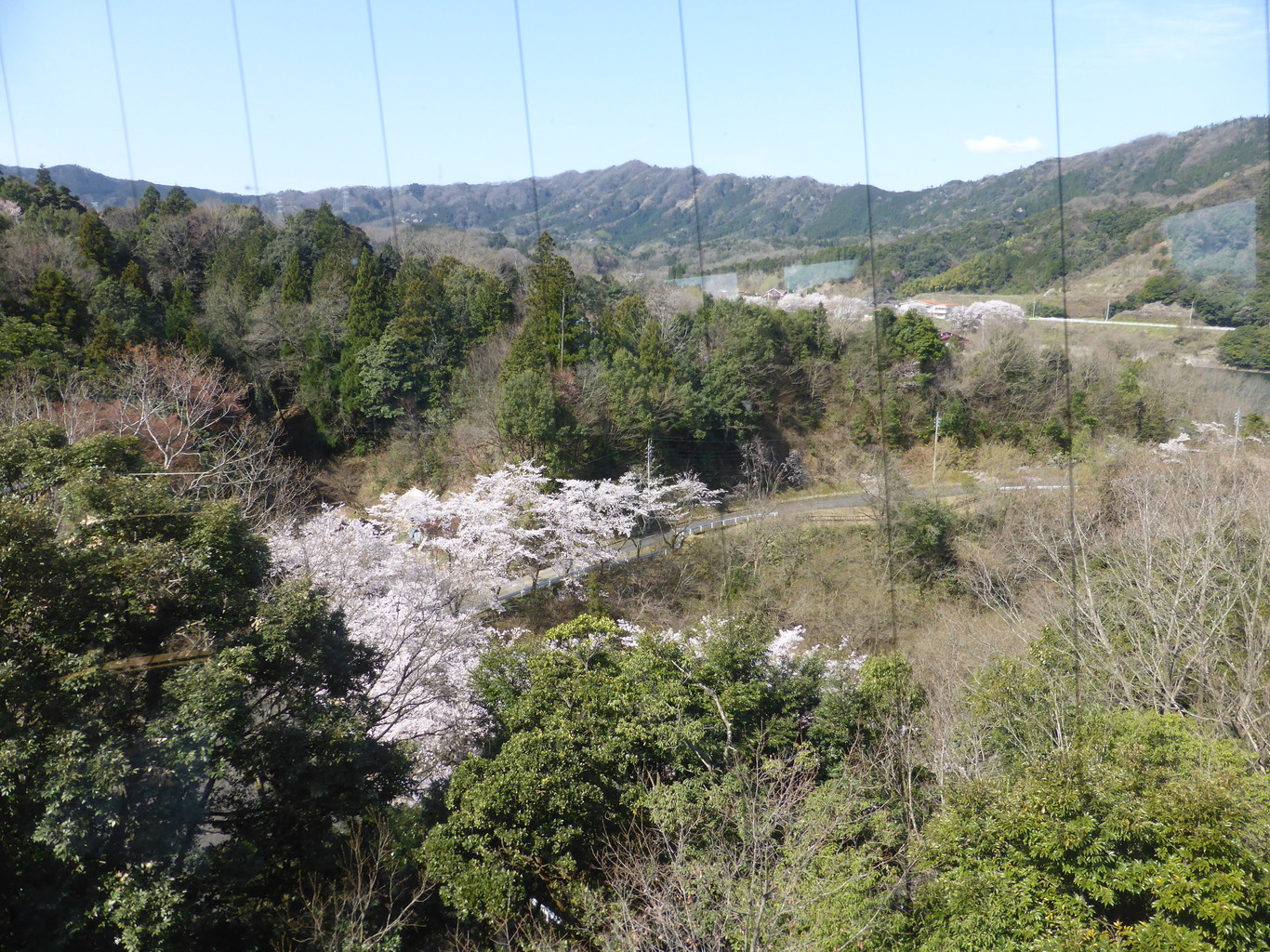 南部町森林公園キャンプ場 photo 4