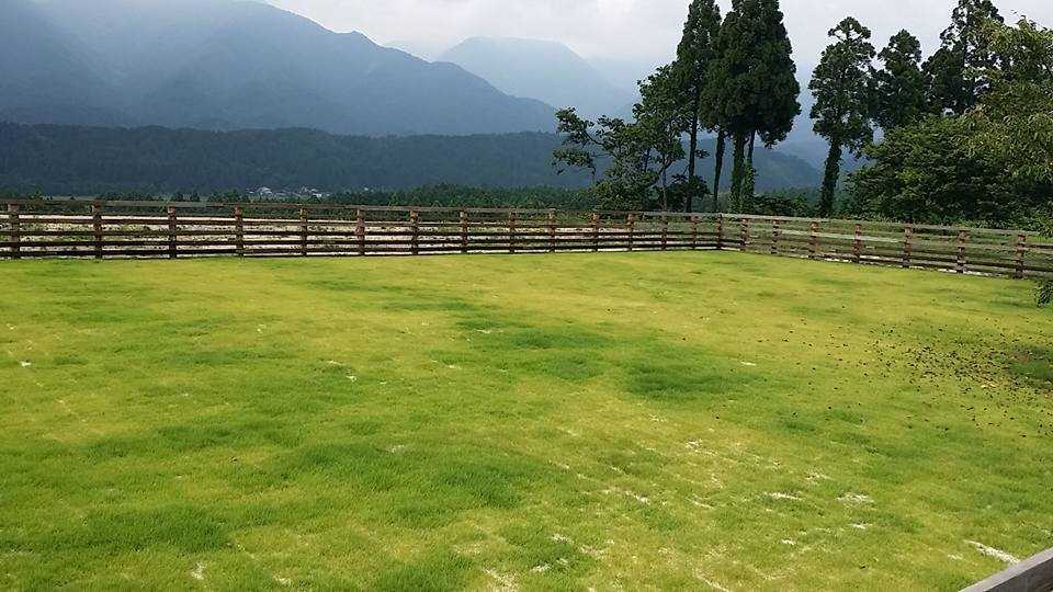 やまもり温泉キャンプ場 photo 4