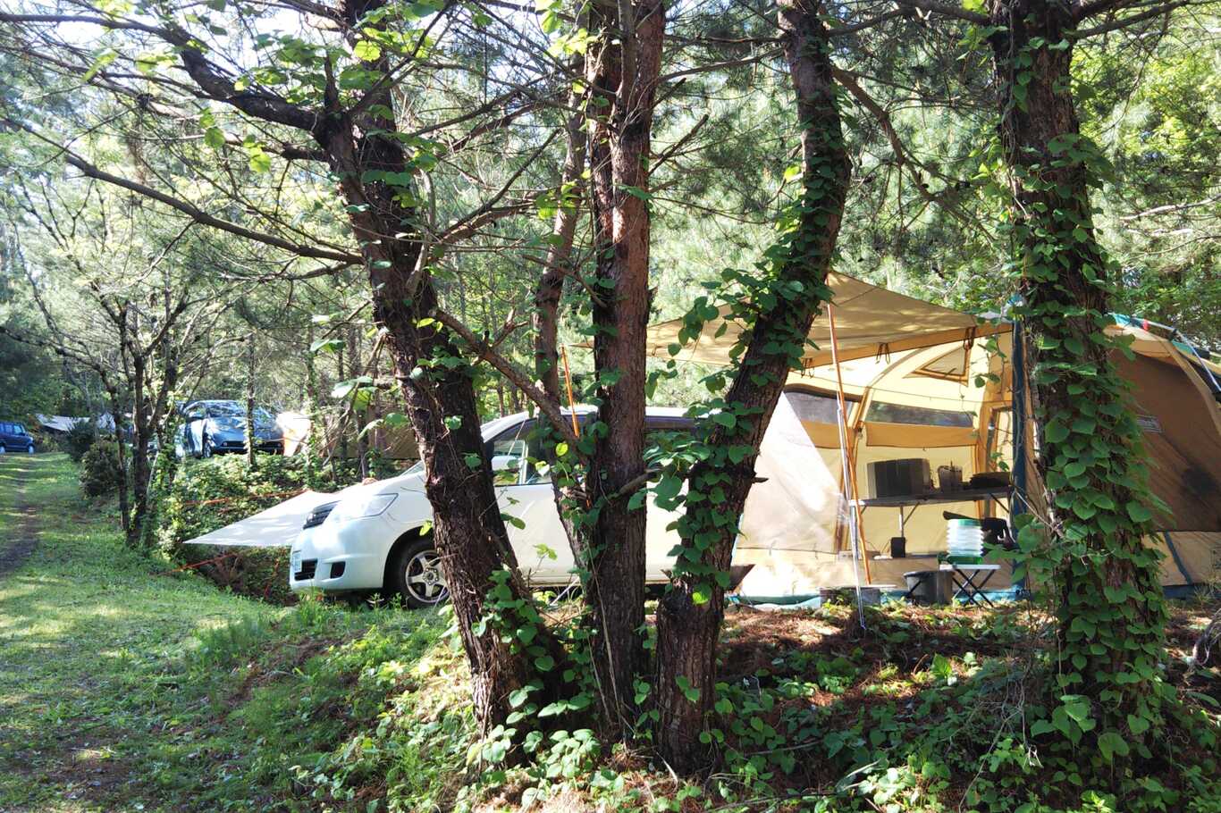 ミターラオートキャンプ場 photo 5