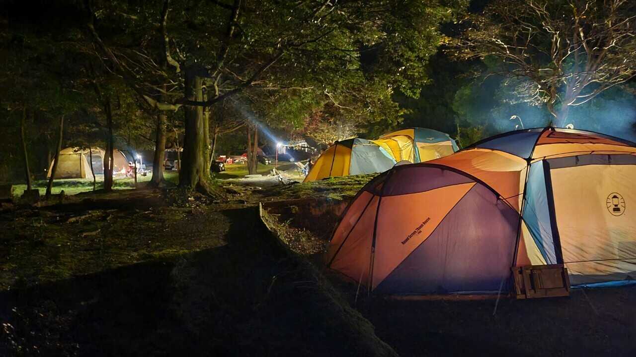 出雲市うさぎ森林公園 夢の森うさぎ キャンプ村