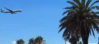 城南島海浜公園 キャンプ場