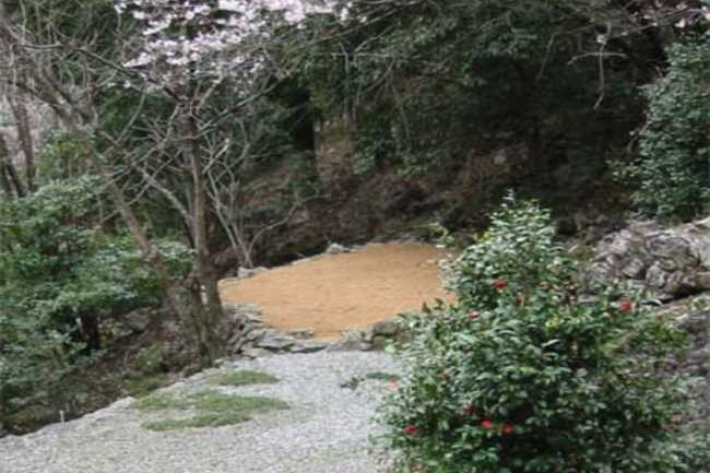 祖谷渓キャンプ村 photo 3